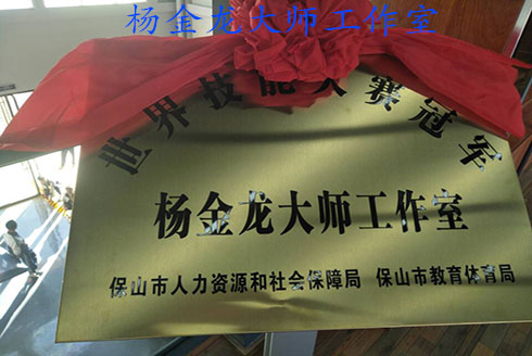 杨金龙大师工作室举行揭牌仪式